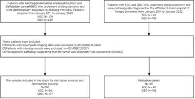 Machine learning-based diagnostic model for preoperative differentiation between xanthogranulomatous cholecystitis and gallbladder carcinoma: a multicenter retrospective cohort study